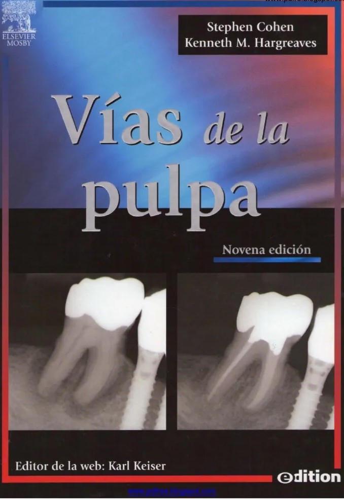 VÍAS DE LA PULPA 9ª EDICIÓN.