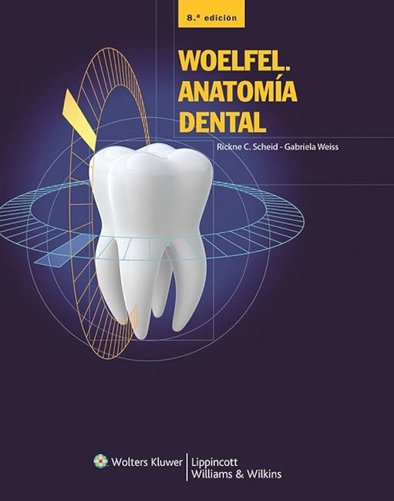 WOELFEL. ANATOMÍA DENTAL