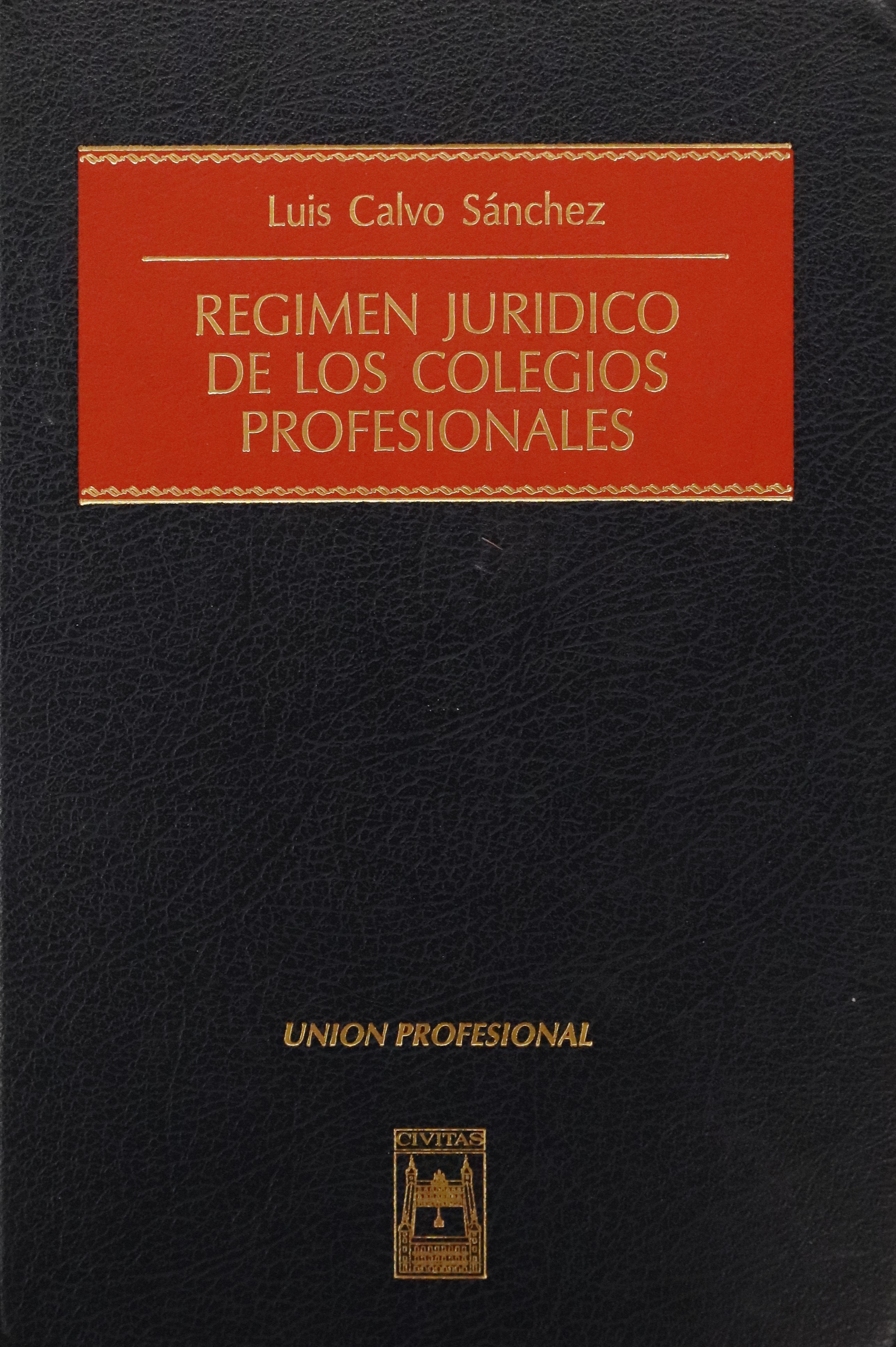 RÉGIMEN JURÍDICO DE LOS COLEGIOS PROFESIONALES