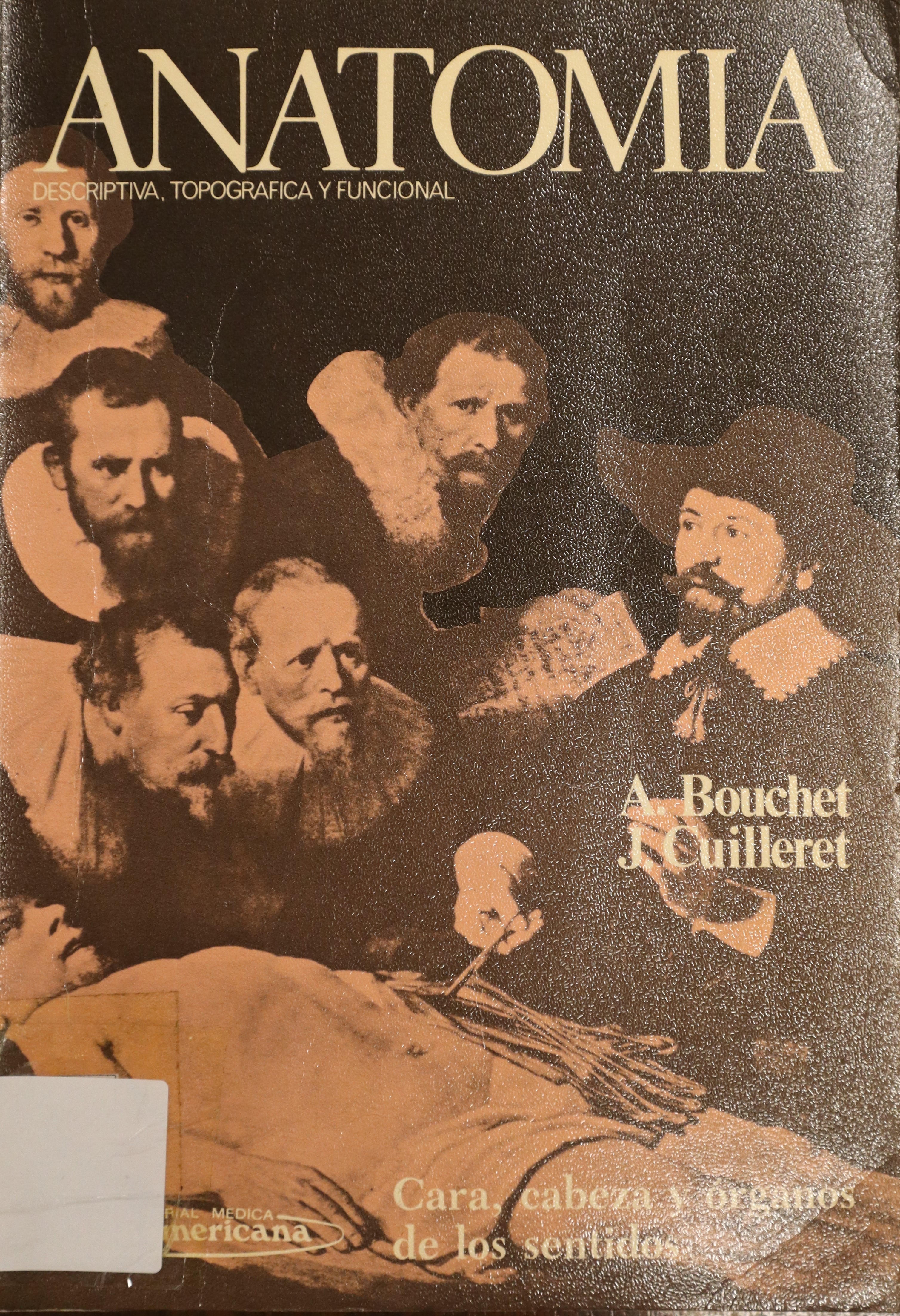 ANATOMIA DESCRIPTIVA, TOPOGRÁFICA Y FUNCIONAL: CARA, CABEZA Y ÓRGANOS DE LOS SENTIDOS