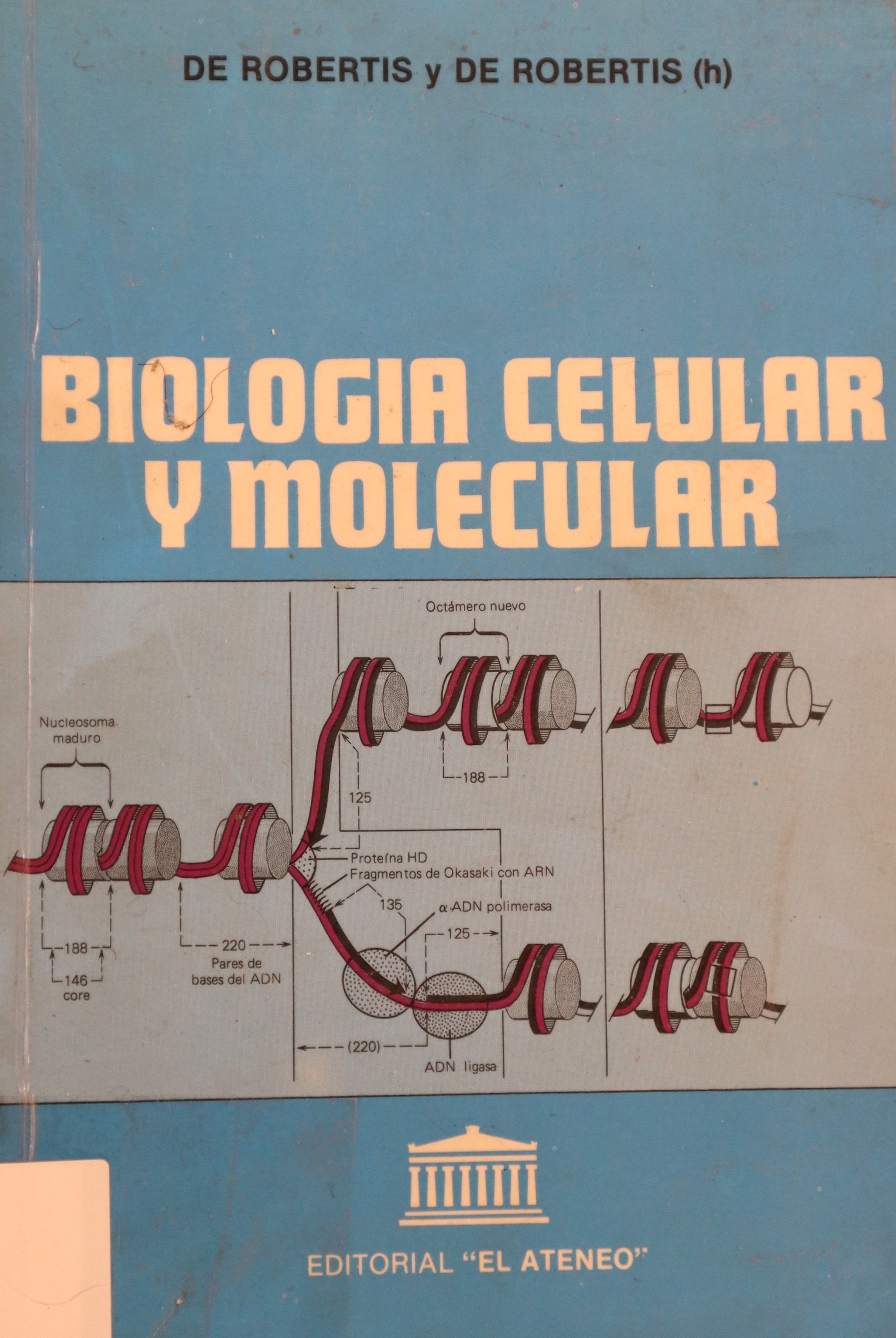 BIOLOGÍA CELULAR Y MOLECULAR