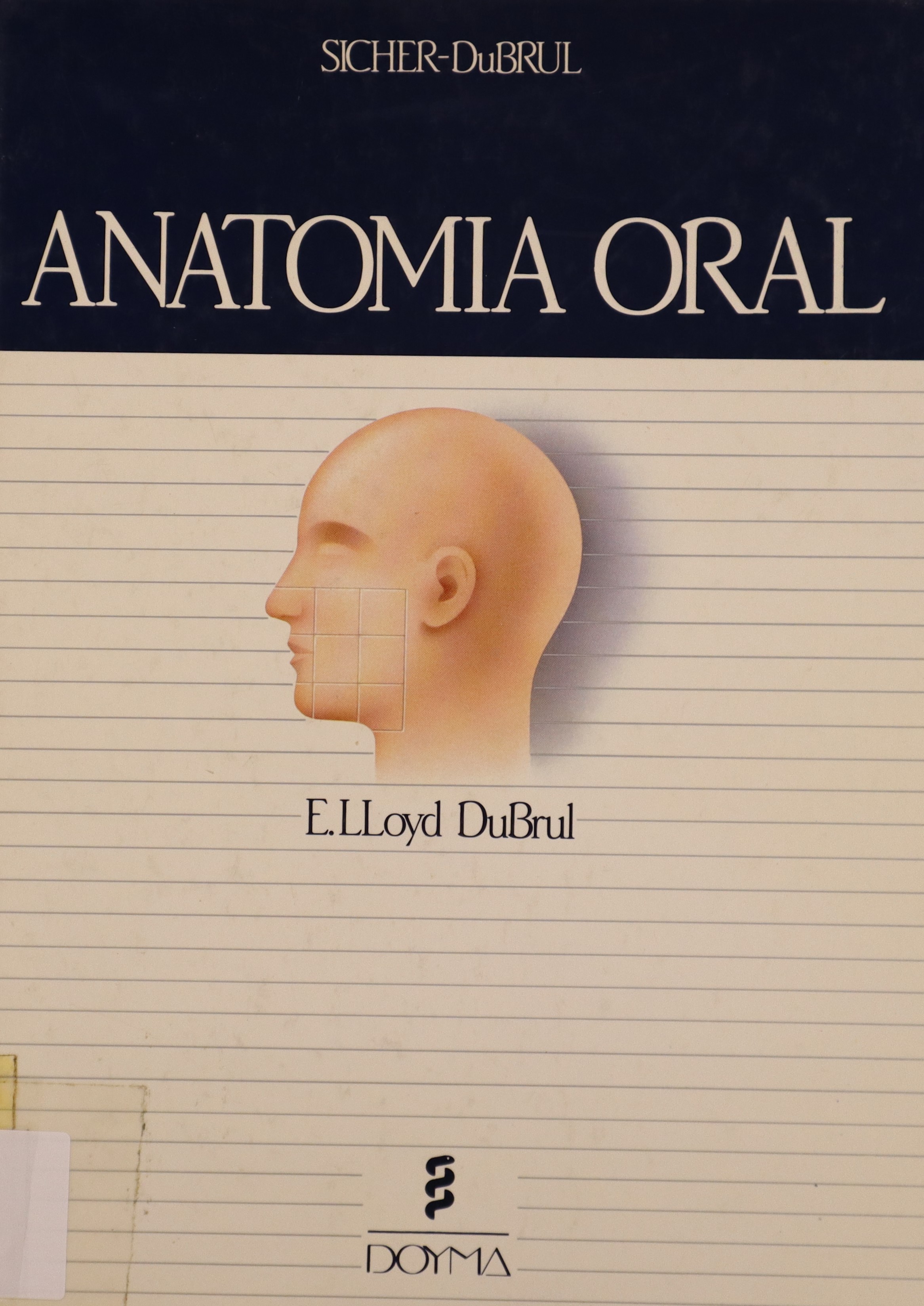 ANATOMÍA ORAL