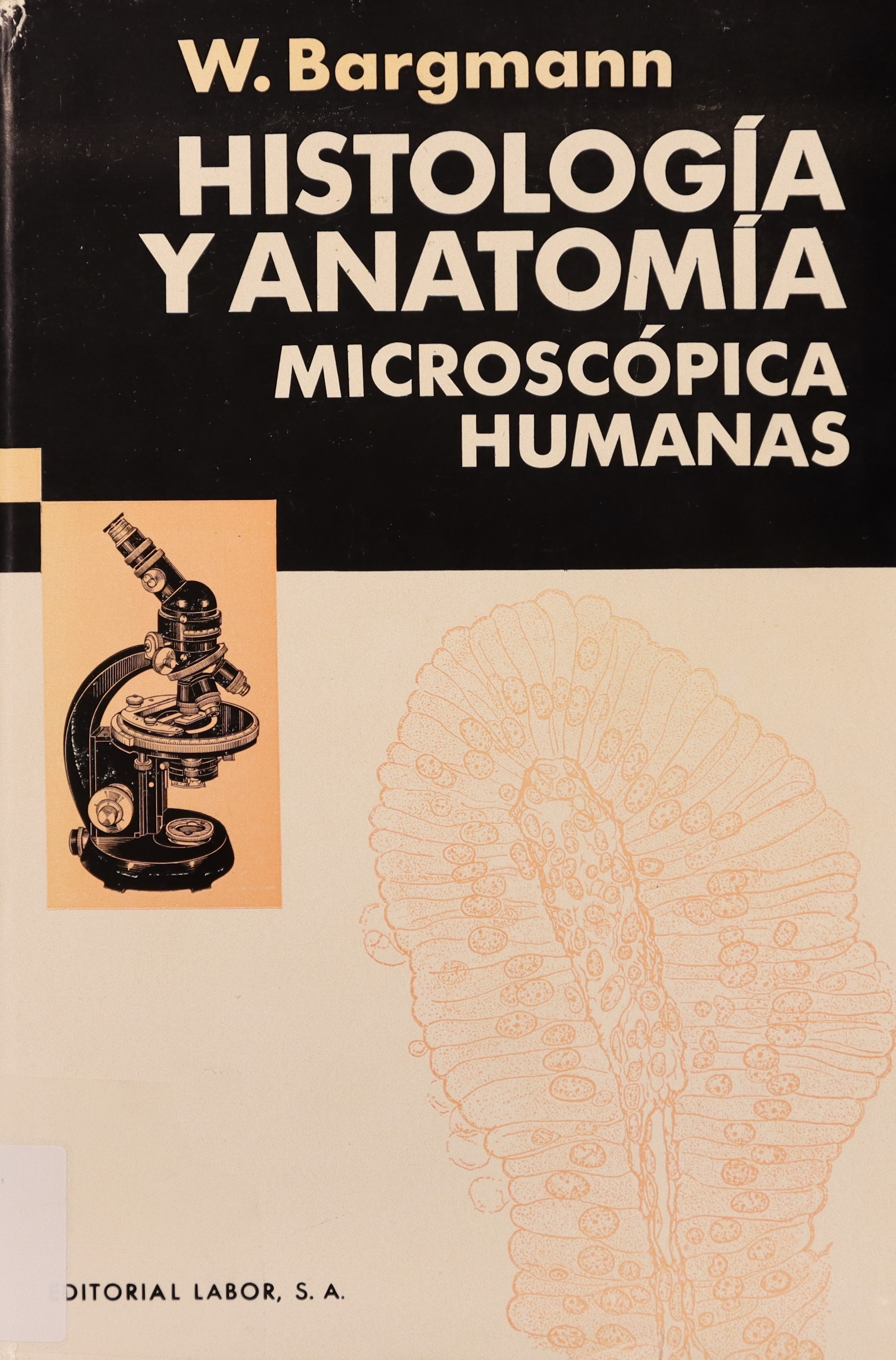HISTOLOGÍA Y ANATOMÍA MICROSCÓPICA HUMANAS