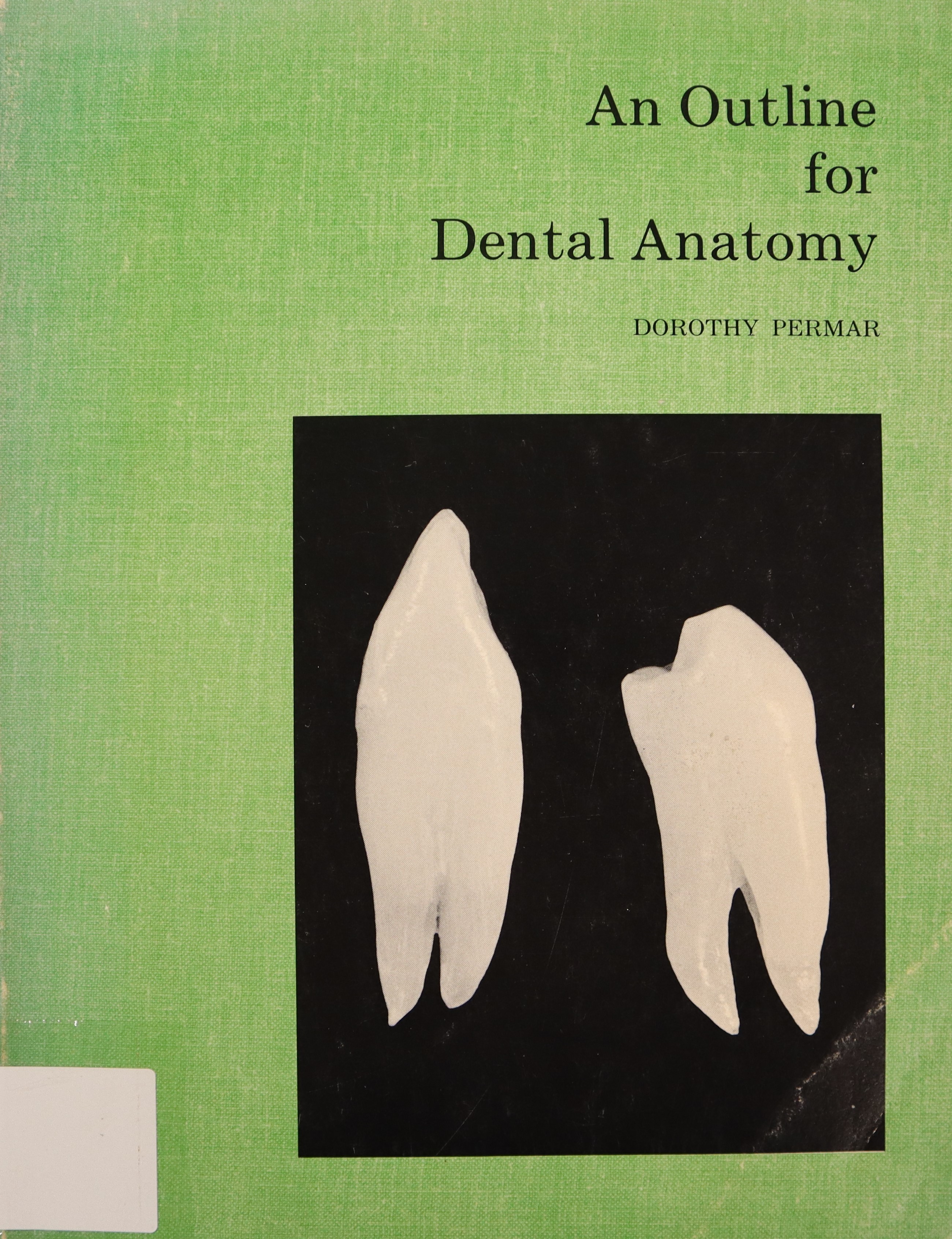 AN OUTLINE FOR DENTAL ANATOMY