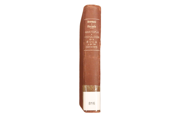ANATOMÍA E HISTOLOGÍA DE LA BOCA Y DE LOS DIENTES.