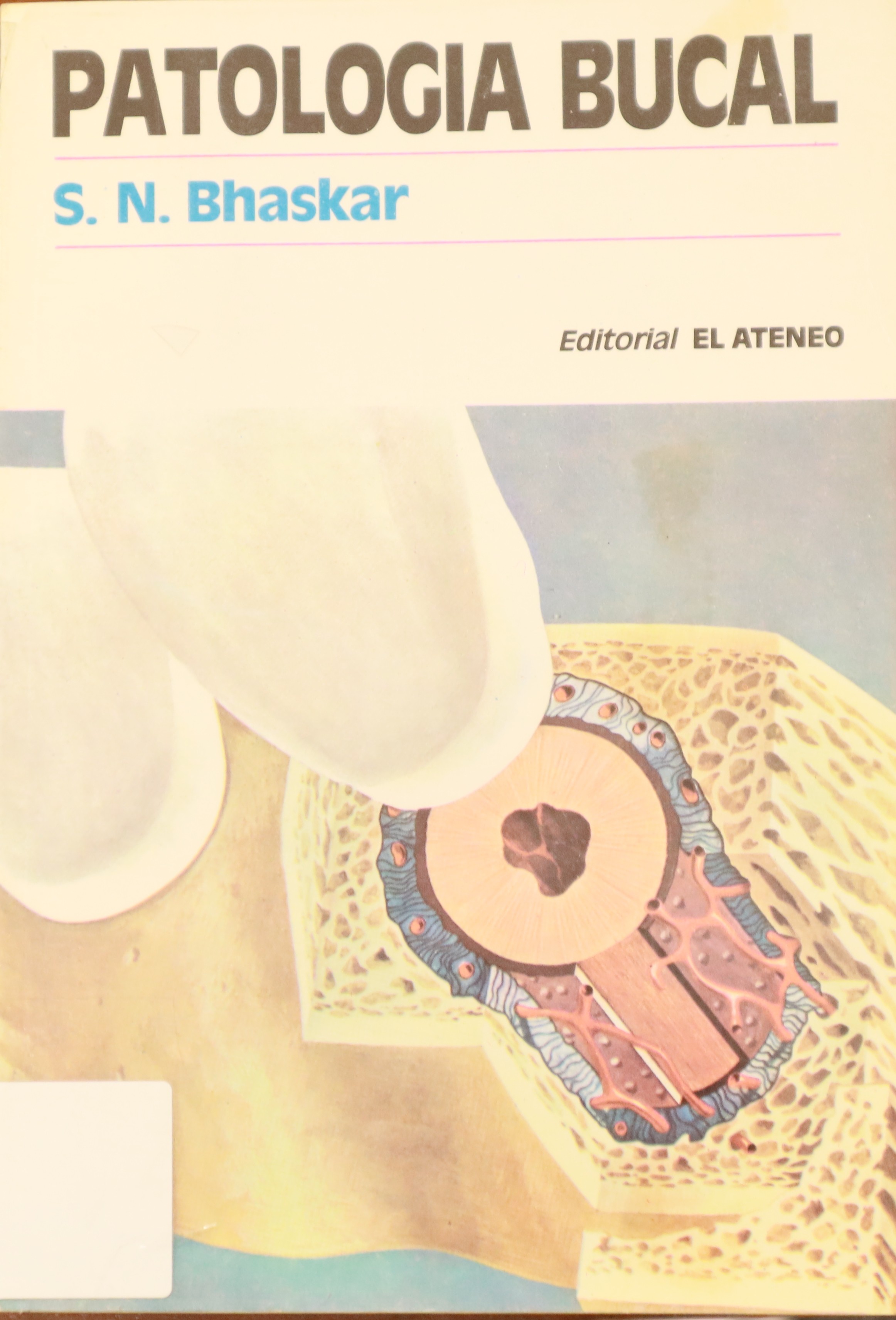 PATOLOGÍA BUCAL