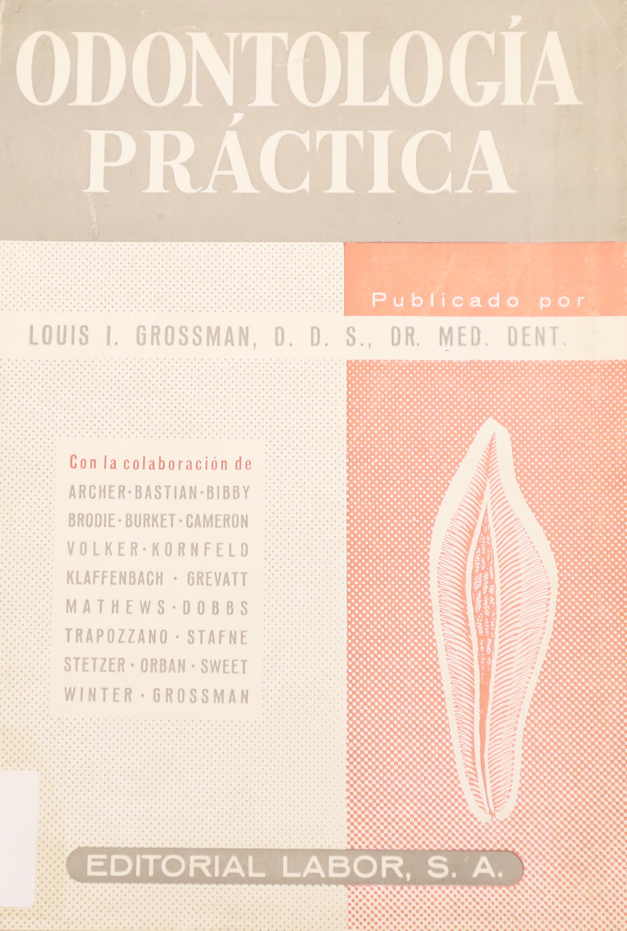 ODONTOLOGÍA PRÁCTICA