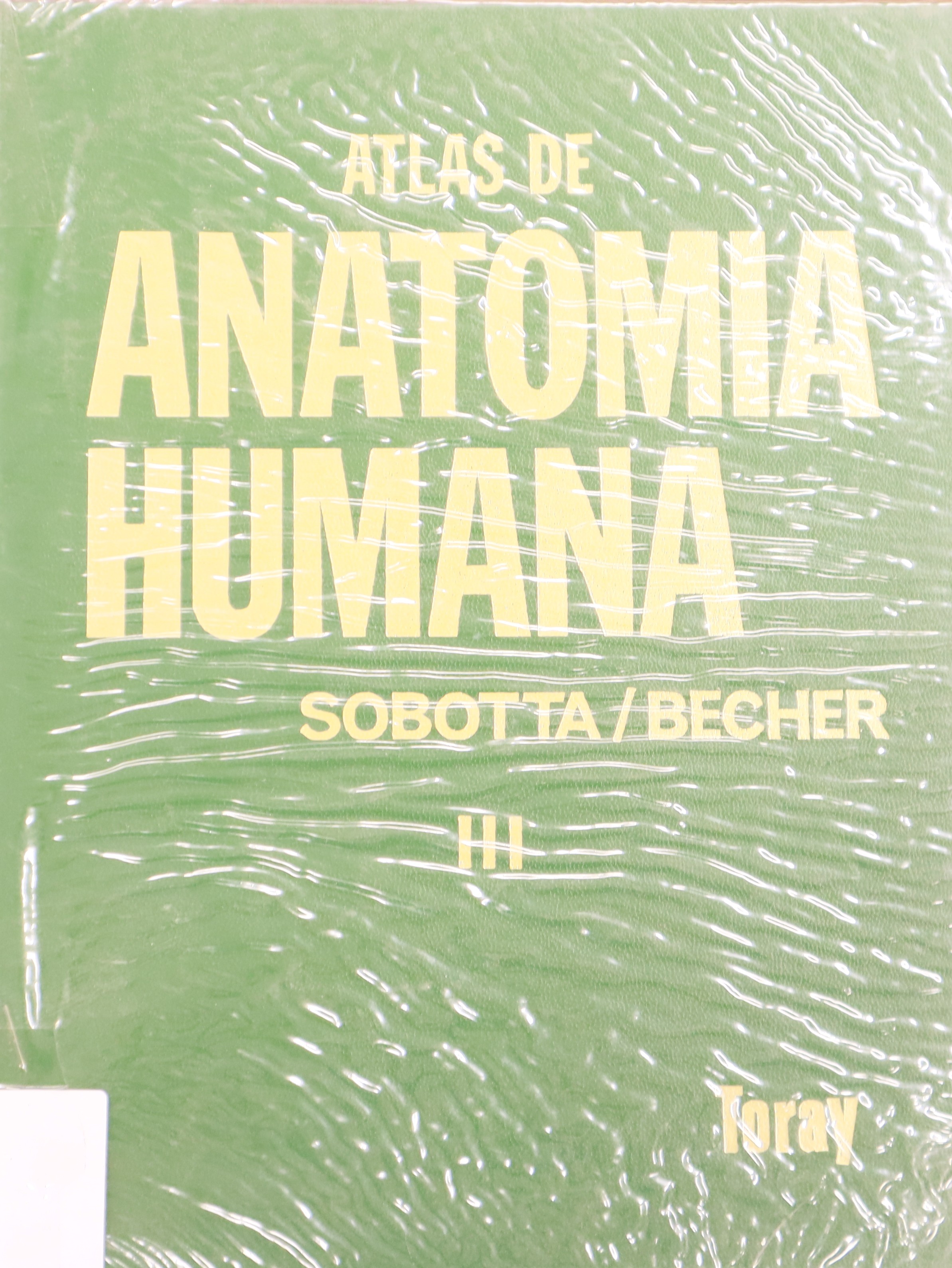 ATLAS DE ANATOMÍA HUMANA III