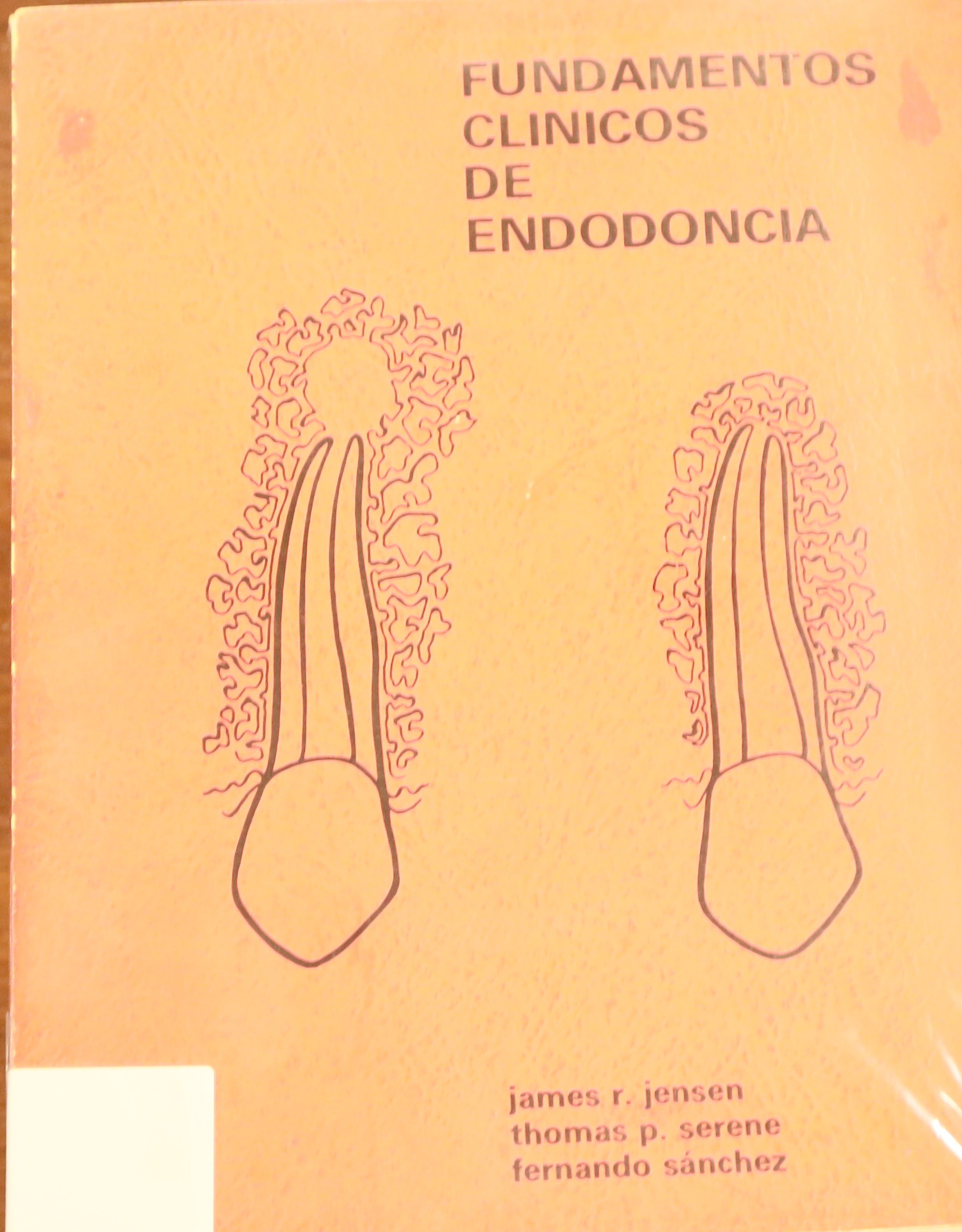 FUNDAMENTOS CLÍNICOS DE ENDODONCIA