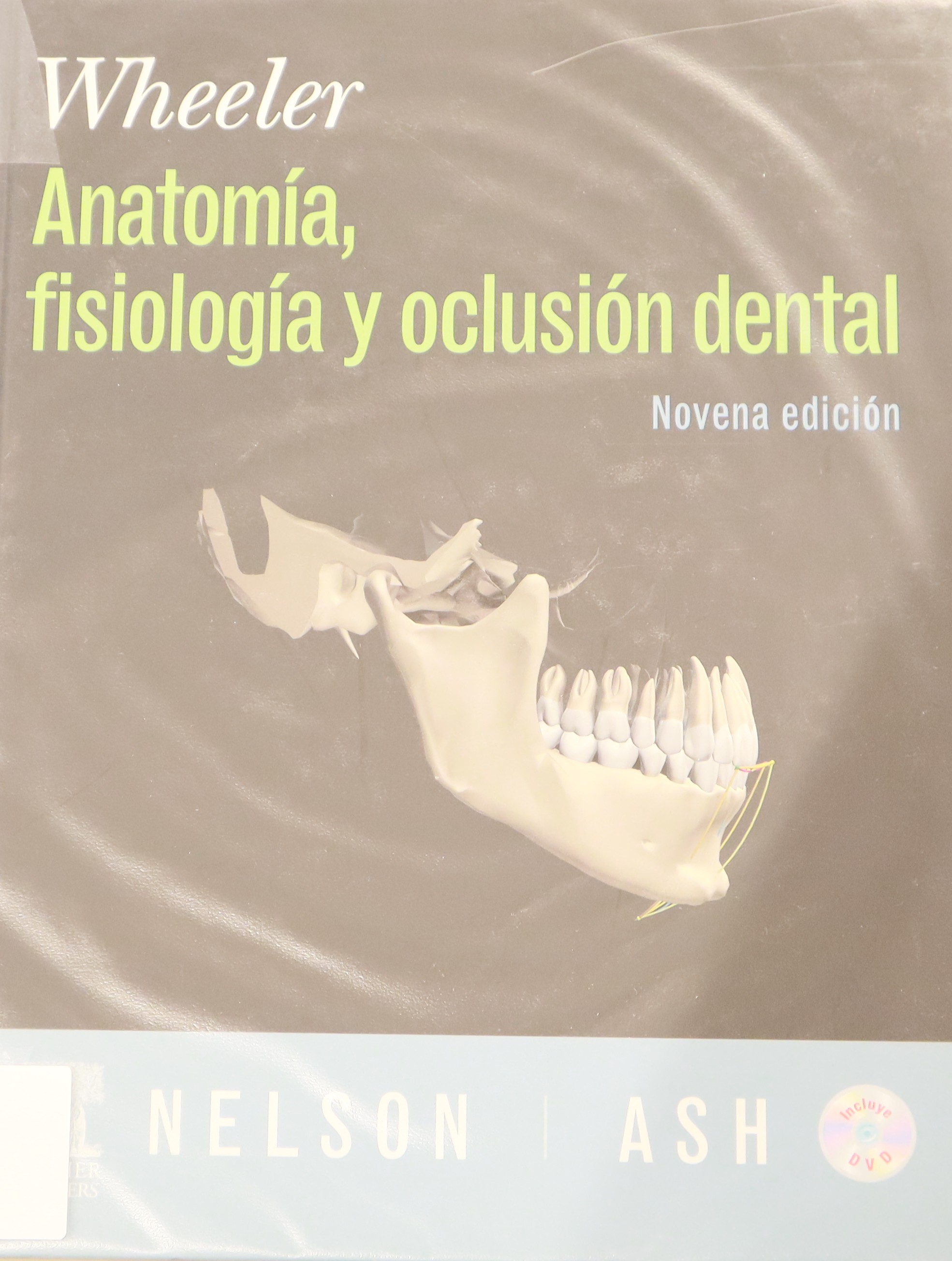 WHEELER. ANATOMÍA, FISIOLOGÍA Y OCLUSIÓN DENTAL 9º EDICIÓN