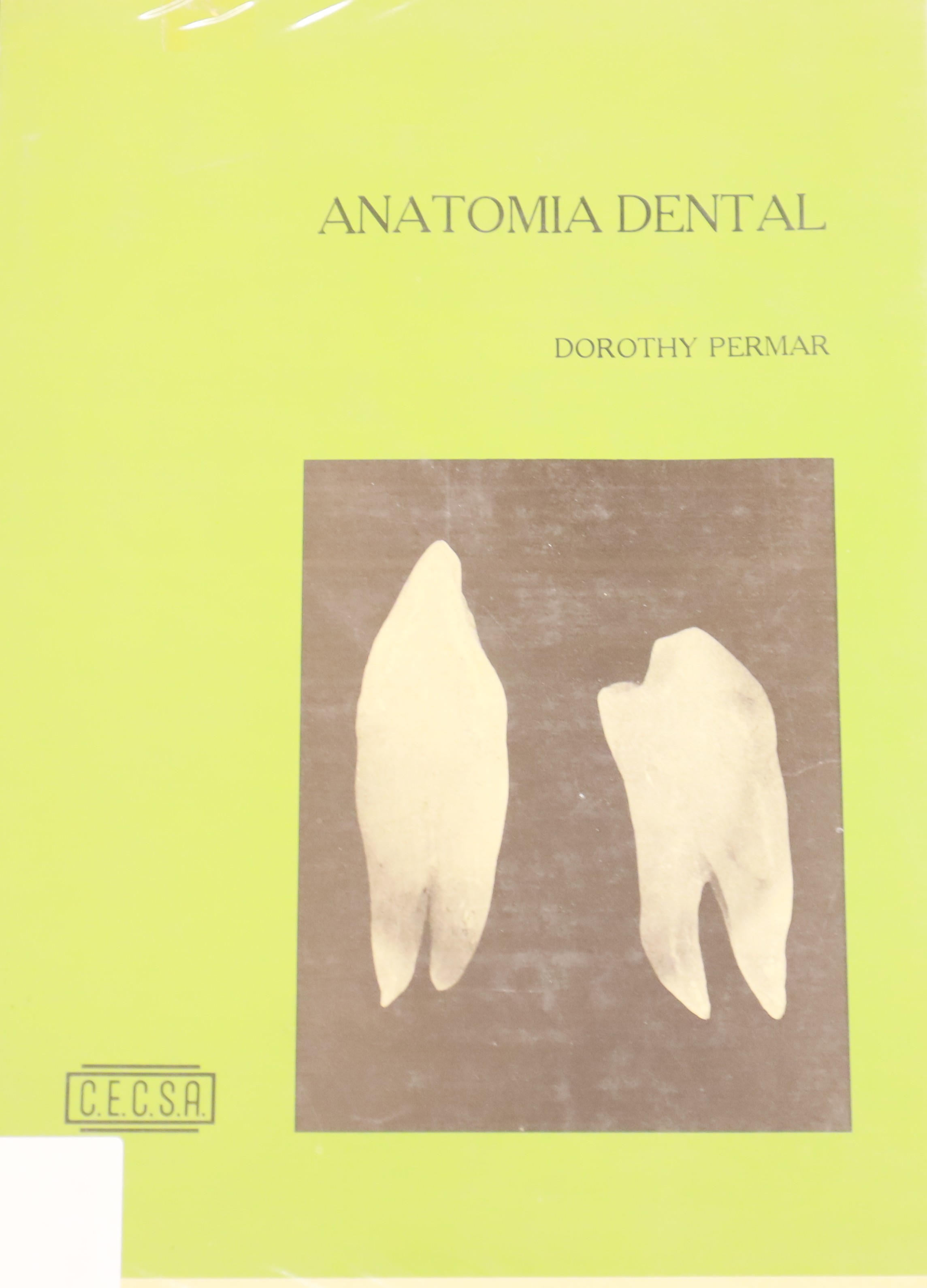 ANATOMÍA DENTAL