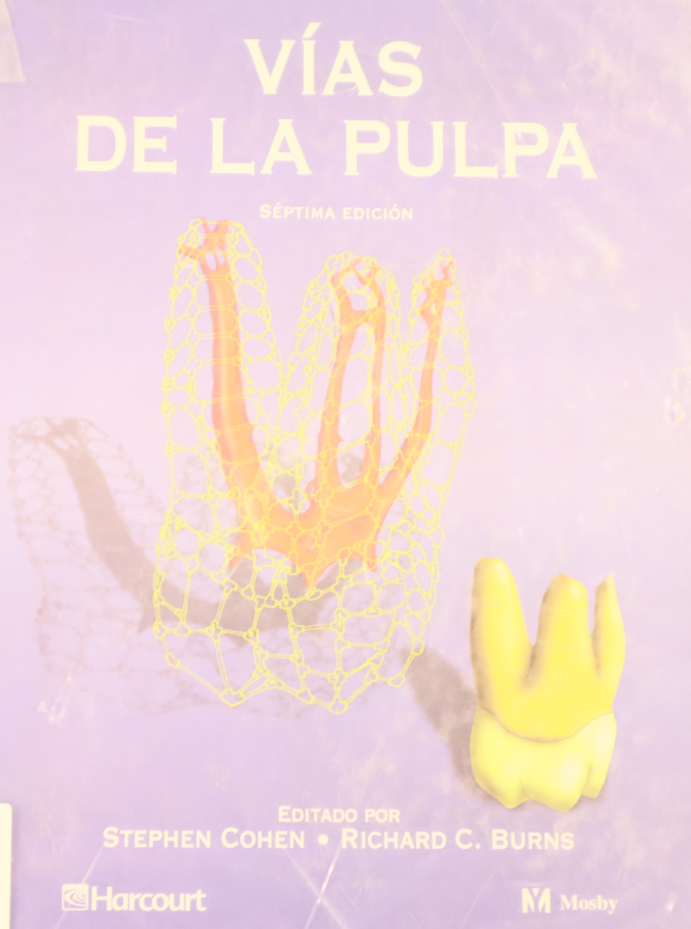 VÍAS DE LA PULPA 7ª EDICIÓN