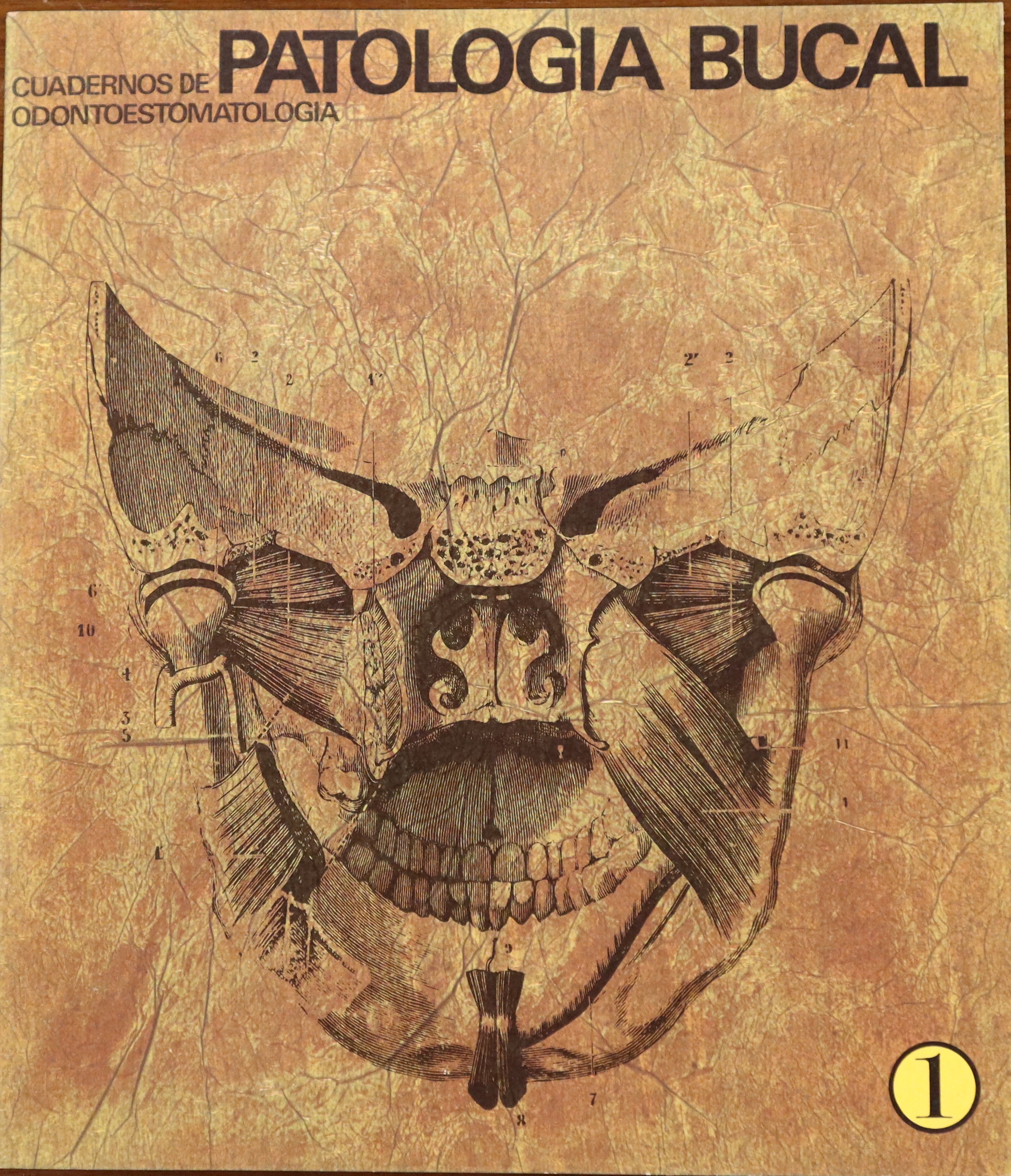 CUADERNOS DE ODONTOESTOMATOLOGÍA. PATOLOGÍA BUCAL. 1