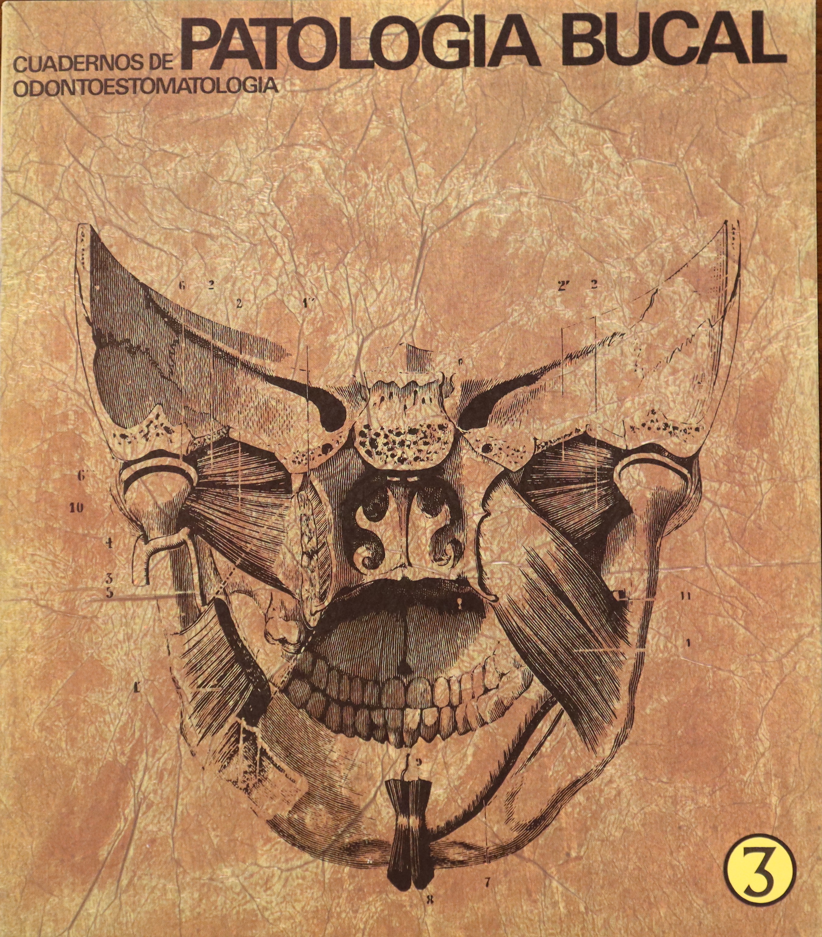 CUADERNOS DE ODONTOESTOMATOLOGÍA. PATOLOGÍA BUCAL. 3