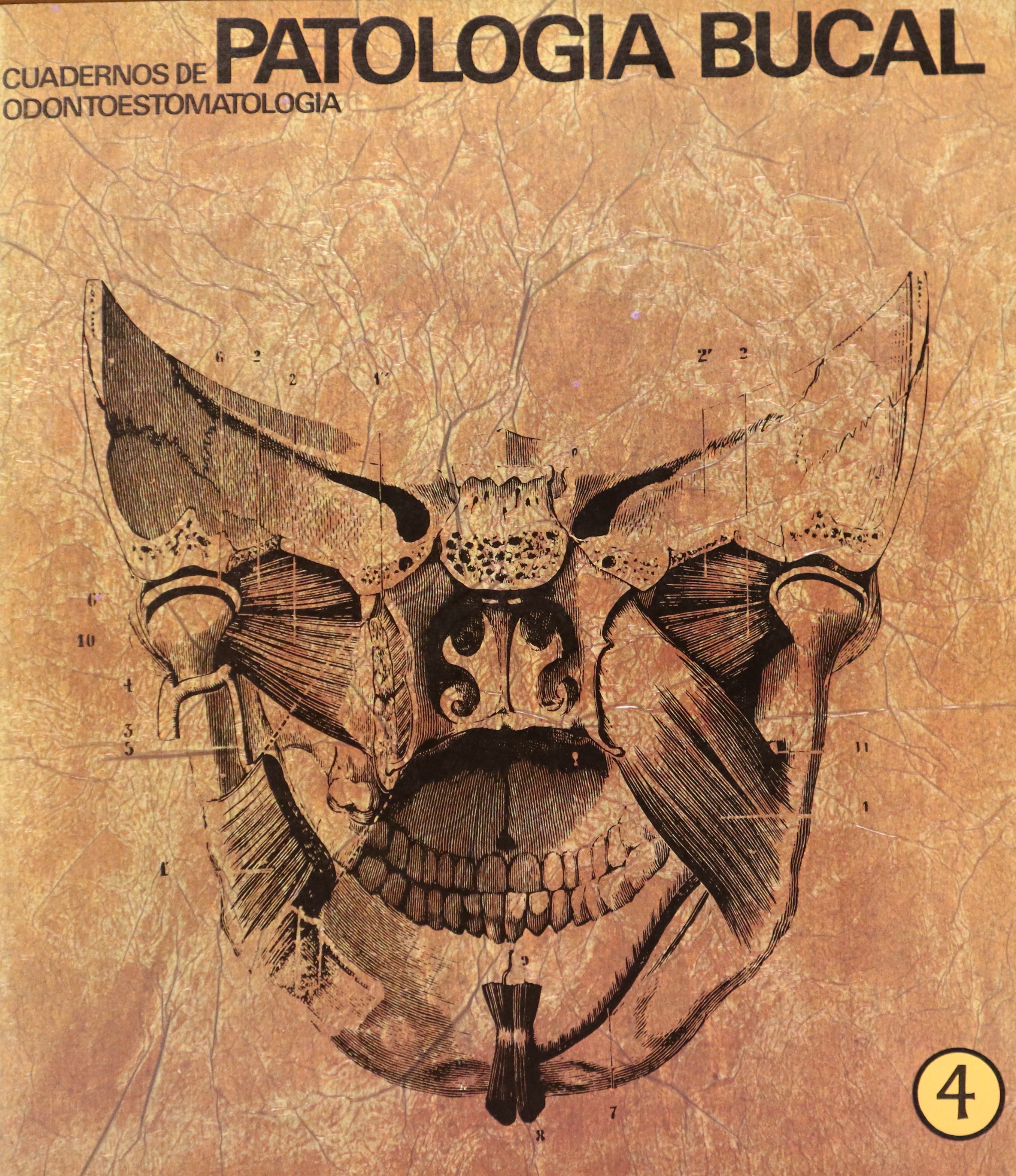 CUADERNOS DE ODONTOESTOMATOLOGÍA. PATOLOGÍA BUCAL. 4