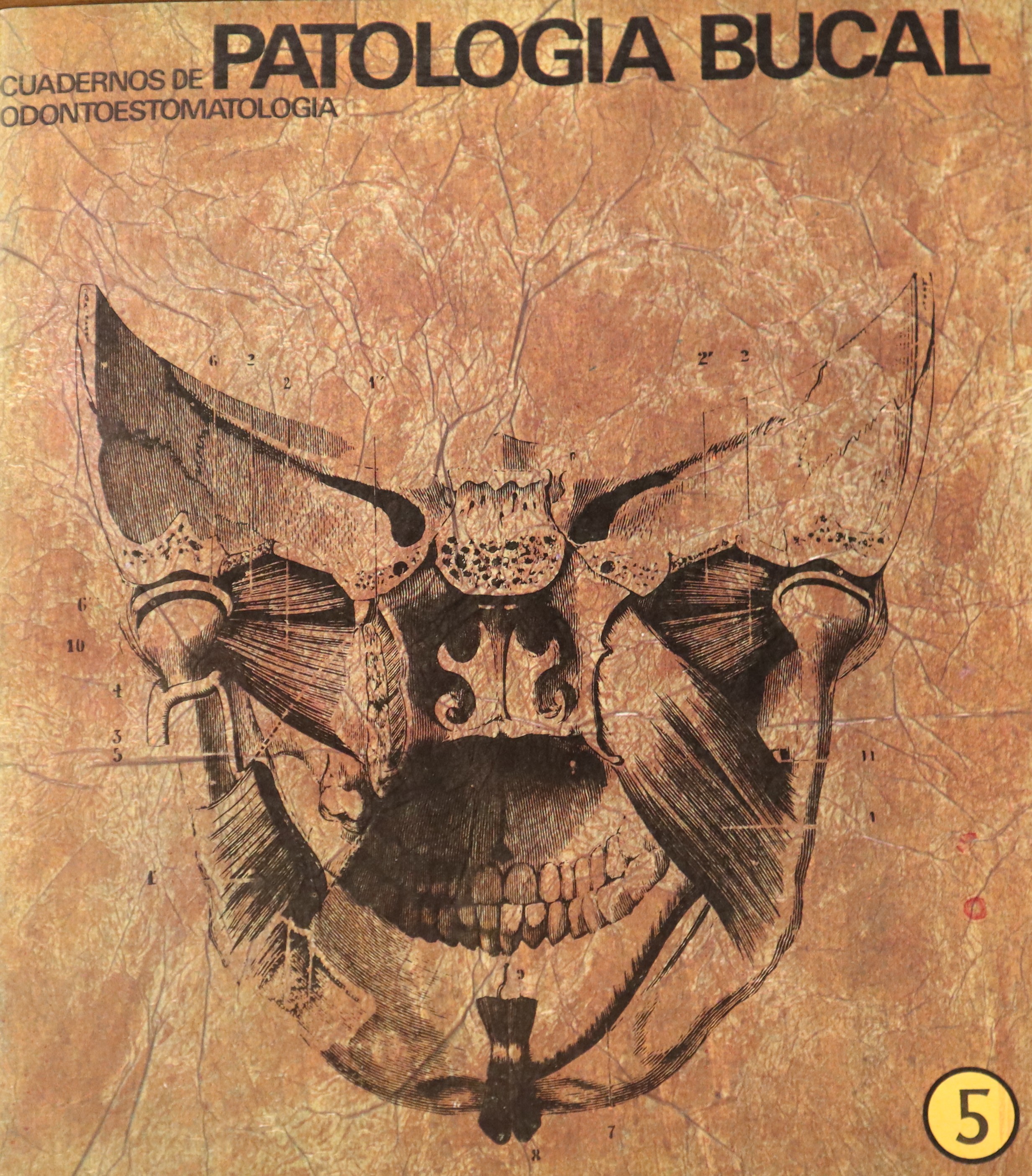 CUADERNOS DE ODONTOESTOMATOLOGÍA. PATOLOGÍA BUCAL. 5