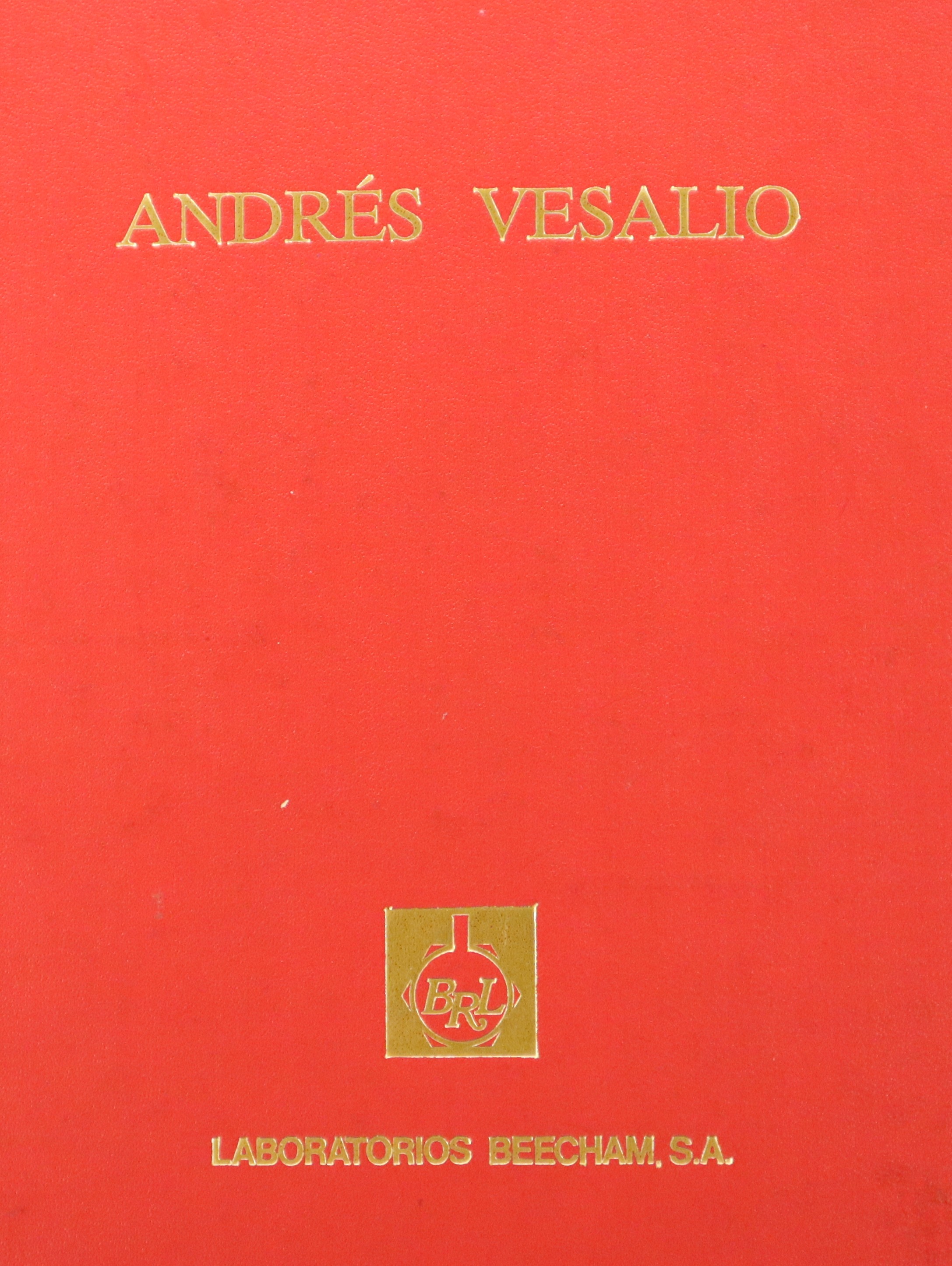 ICONOGRAFÍA ANATÓMICA